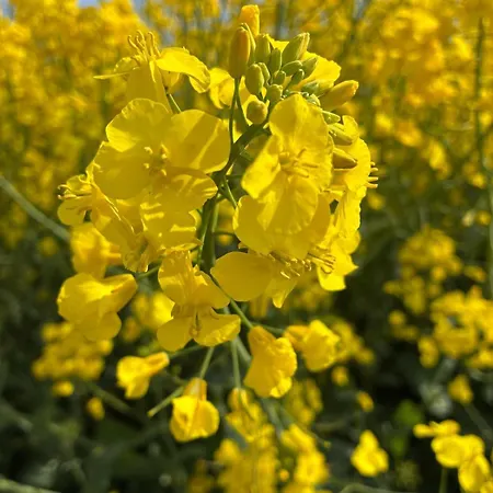 Happy&relax Bed & Breakfast 4*